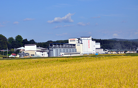 水田地帯とカントリーエレベータ