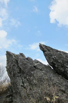 #3 水無月　身近にある「世界文化遺産」