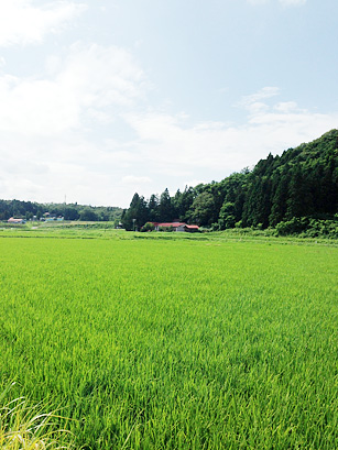 #4 文月　江戸時代の旅日記を比べ読む