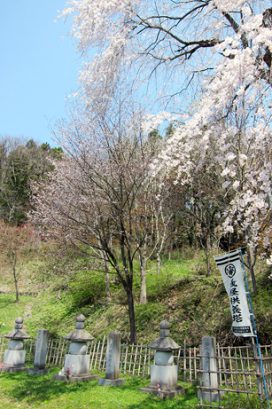 #13 卯月　東裏遺跡の土偶の胎土分析