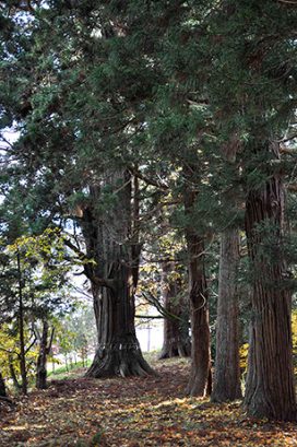 #21 師走　考古学から「平泉文化」を考える－平泉は確かに「都市」であった⑤－