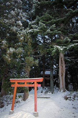 #24 弥生　考古学から「平泉文化」を考える―平泉は確かに「都市であった」⑧―