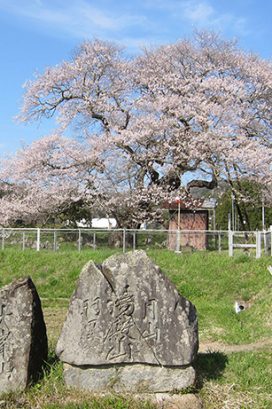 #25 卯月　考古学から「平泉文化」を考える―平泉は確かに「都市であった」⑨―