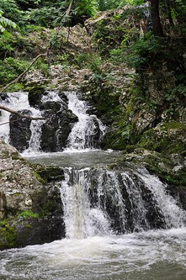 #65 葉月　岩手の経塚群 ―12世紀、奥州藤原氏時代を中心に⑯―