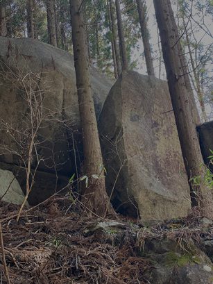 「奥の細道」の旅―最終目的は平泉か―