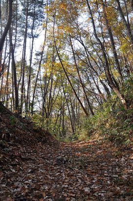 「奥の細道」の旅―最終目的地は平泉か―