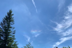 星座の森に虹